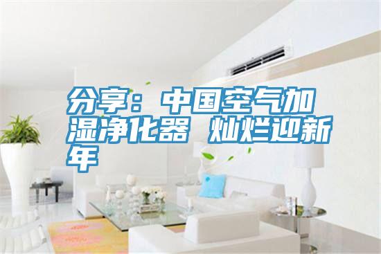 分享：中國空氣加濕淨化器 燦爛迎新年