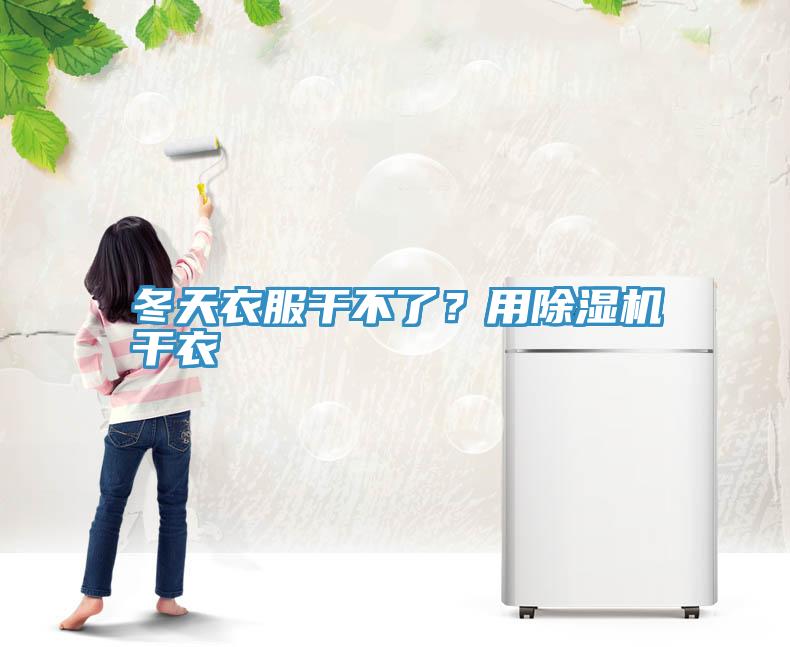 冬天衣服幹不了？用草莓污视频在线看幹衣