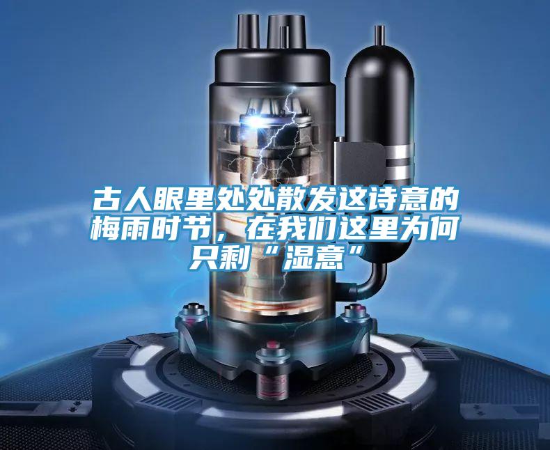 古人眼裏處處散發這詩意的梅雨時節，在草莓视频性福宝這裏為何隻剩“濕意”