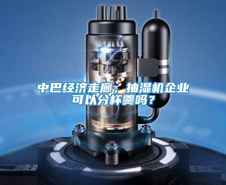中巴經濟走廊，抽濕機企業可以分杯羹嗎？