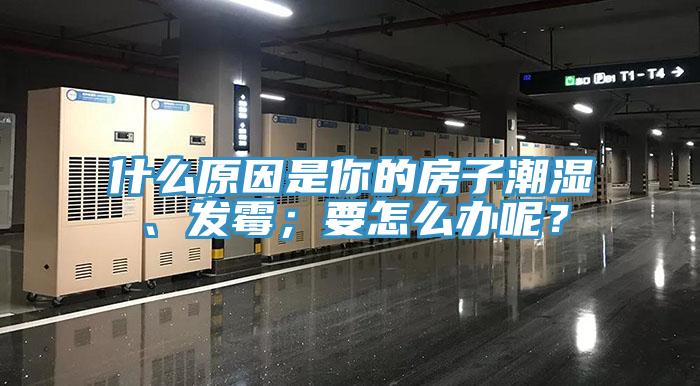 什麽原因是你的房子潮濕、發黴；要怎麽辦呢？