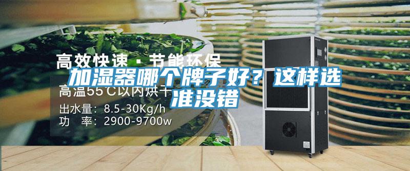 加濕器哪個牌子好？這樣選準沒錯