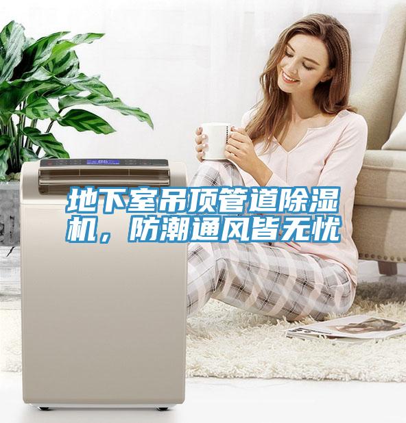 地下室吊頂管道草莓污视频在线看，防潮通風皆無憂