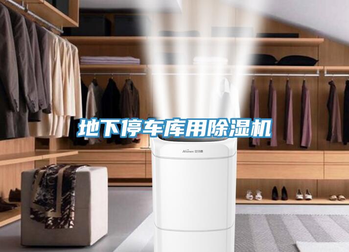 地下停車庫用草莓污视频在线看
