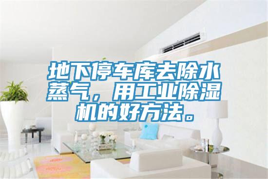地下停車庫去除水蒸氣，用工業草莓污视频在线看的好方法。