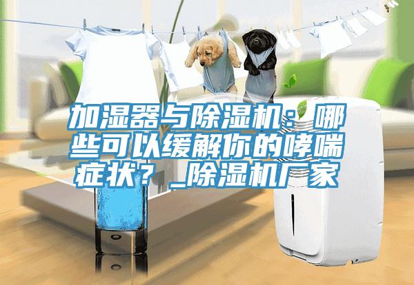 加濕器與草莓污视频在线看：哪些可以緩解你的哮喘症狀？_草莓污视频在线看廠家