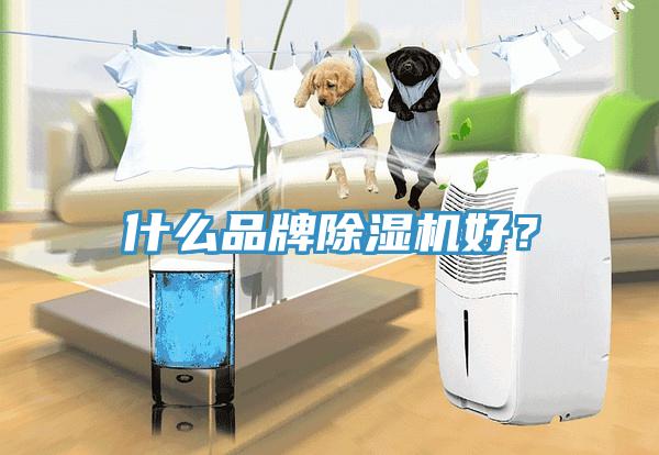 什麽品牌草莓污视频在线看好？