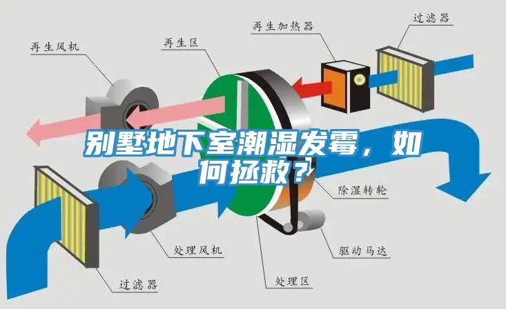 別墅地下室潮濕發黴，如何拯救？