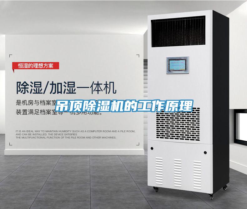 吊頂草莓污视频在线看的工作原理