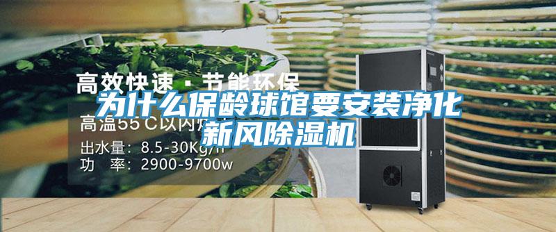 為什麽保齡球館要安裝淨化新風草莓污视频在线看