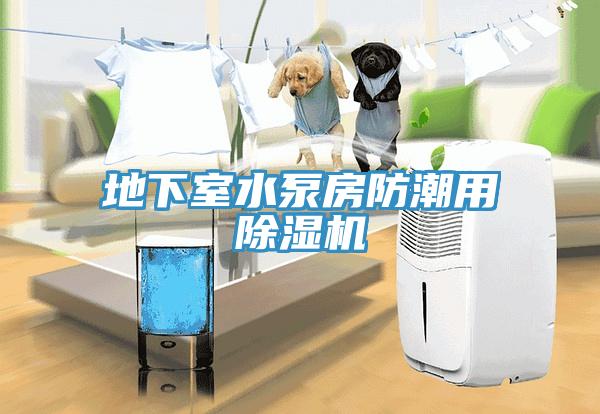 地下室水泵房防潮用草莓污视频在线看