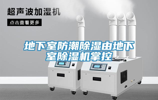 地下室防潮除濕由地下室草莓污视频在线看掌控