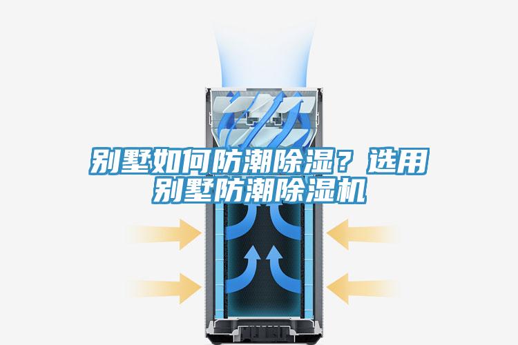 別墅如何防潮除濕？選用別墅防潮草莓污视频在线看