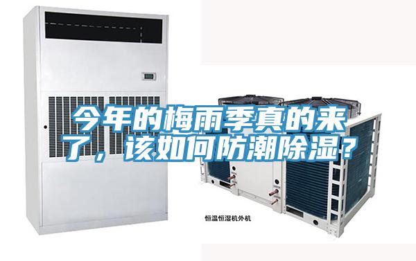 今年的梅雨季真的來了，該如何防潮除濕？