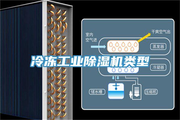 冷凍工業草莓污视频在线看類型