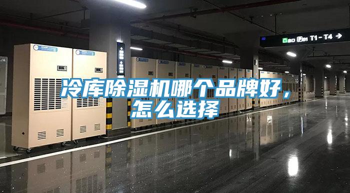 冷庫草莓污视频在线看哪個品牌好，怎麽選擇