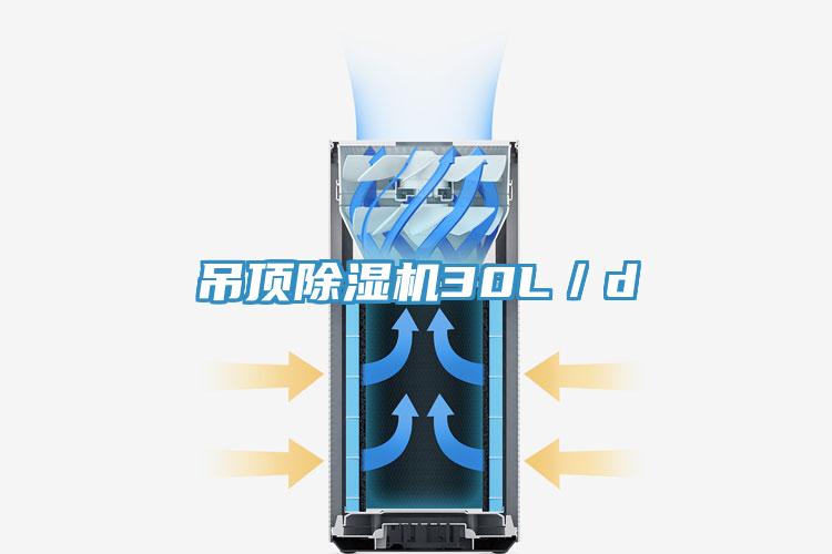吊頂草莓污视频在线看30L／d