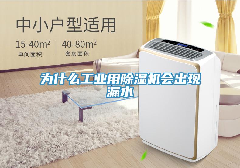 為什麽工業用草莓污视频在线看會出現漏水