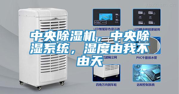 中央草莓污视频在线看，中央除濕係統，濕度由我不由天