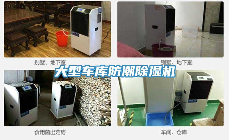 大型車庫防潮草莓污视频在线看