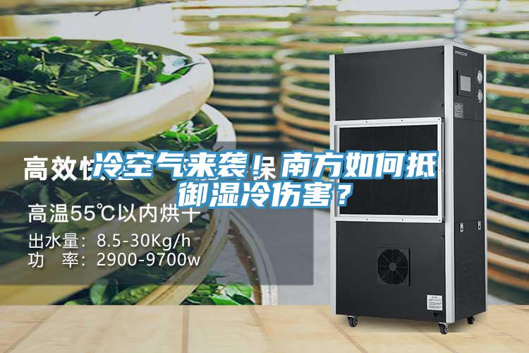 冷空氣來襲！南方如何抵禦濕冷傷害？