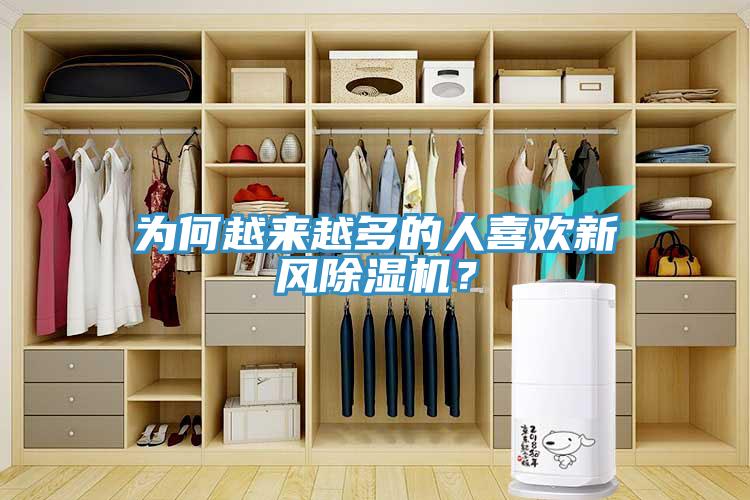 為何越來越多的人喜歡新風草莓污视频在线看？