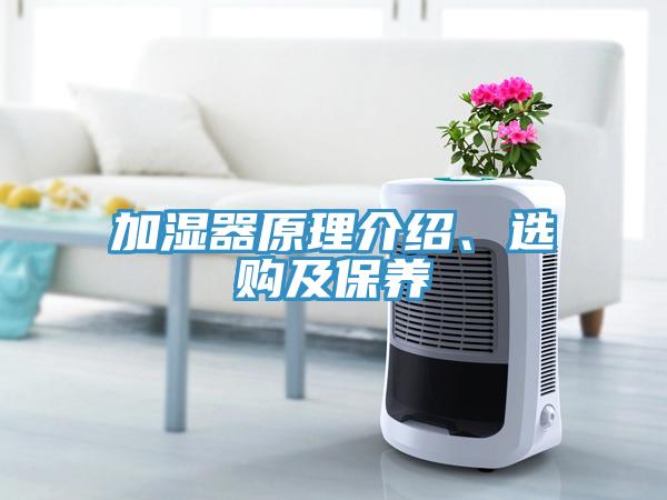 加濕器原理介紹、選購及保養