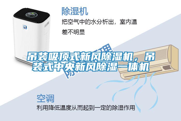 吊裝吸頂式新風草莓污视频在线看，吊裝式中央新風除濕一體機