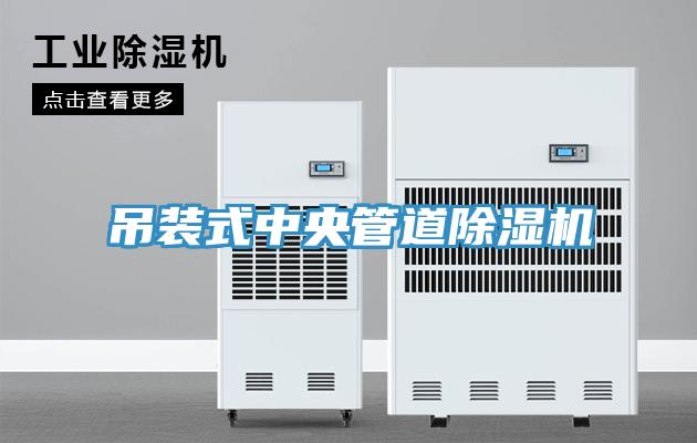 吊裝式中央管道草莓污视频在线看