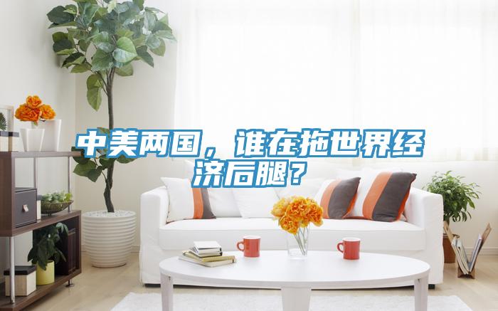 中美兩國，誰在拖世界經濟後腿？