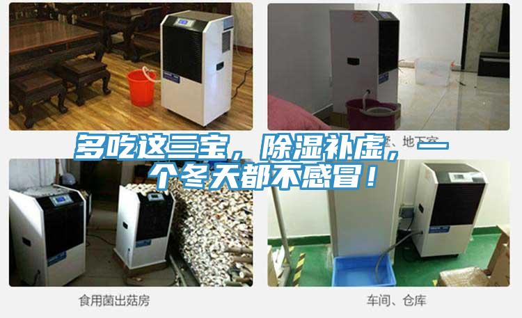 多吃這三寶，除濕補虛，一個冬天都不感冒！