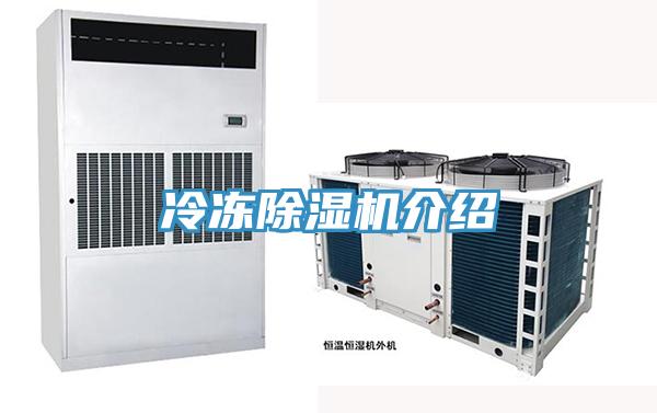冷凍草莓污视频在线看介紹