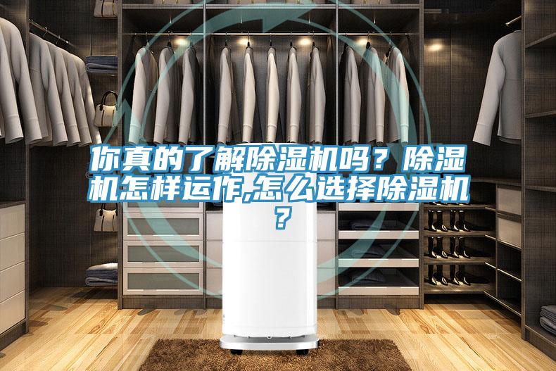 你真的了解草莓污视频在线看嗎？草莓污视频在线看怎樣運作,怎麽選擇草莓污视频在线看？