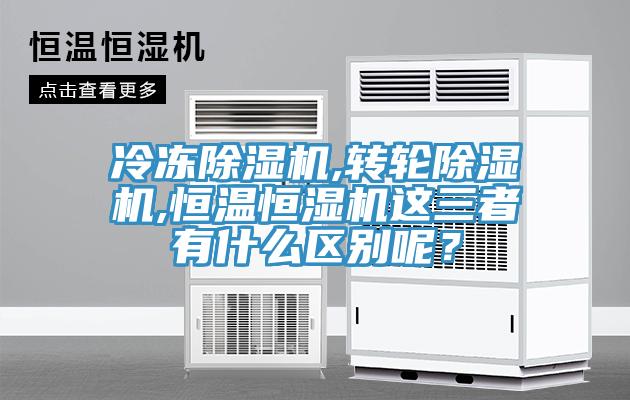 冷凍草莓污视频在线看,轉輪草莓污视频在线看,恒溫恒濕機這三者有什麽區別呢？