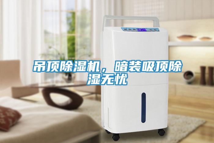 吊頂草莓污视频在线看，暗裝吸頂除濕無憂