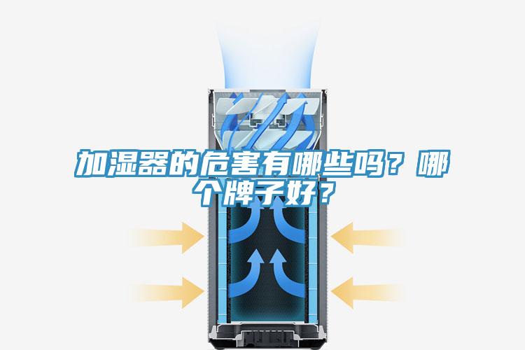加濕器的危害有哪些嗎？哪個牌子好？