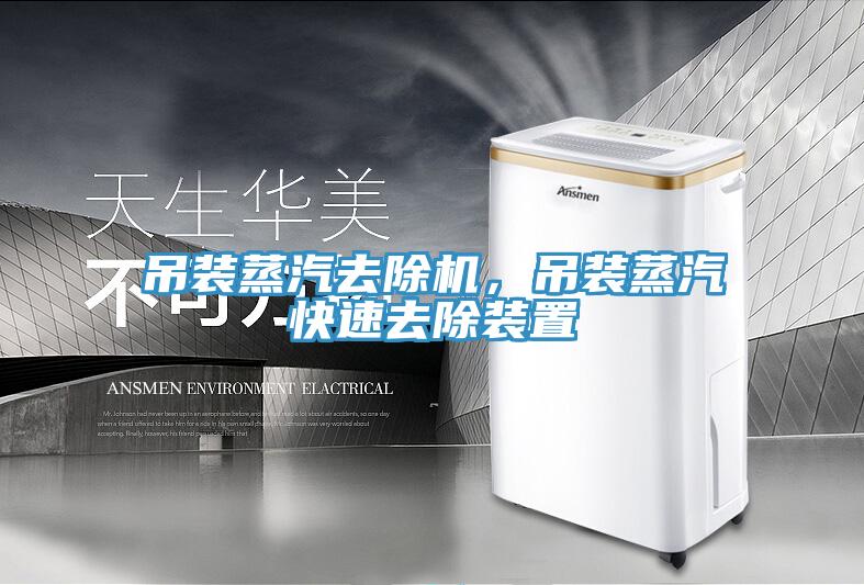 吊裝蒸汽去除機，吊裝蒸汽快速去除裝置