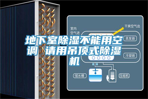 地下室除濕不能用空調 請用吊頂式草莓污视频在线看