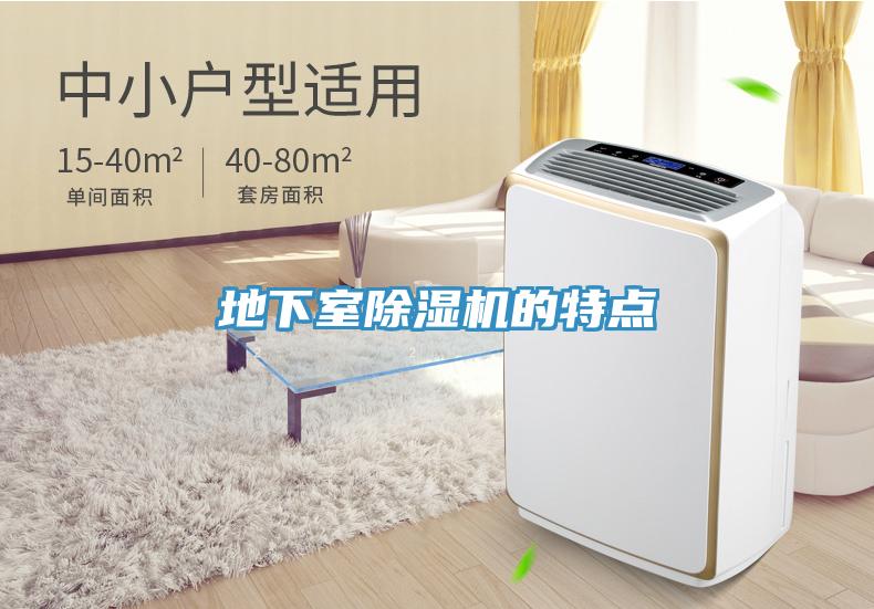 地下室草莓污视频在线看的特點