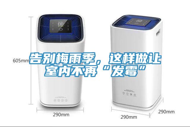 告別梅雨季，這樣做讓室內不再“發黴”