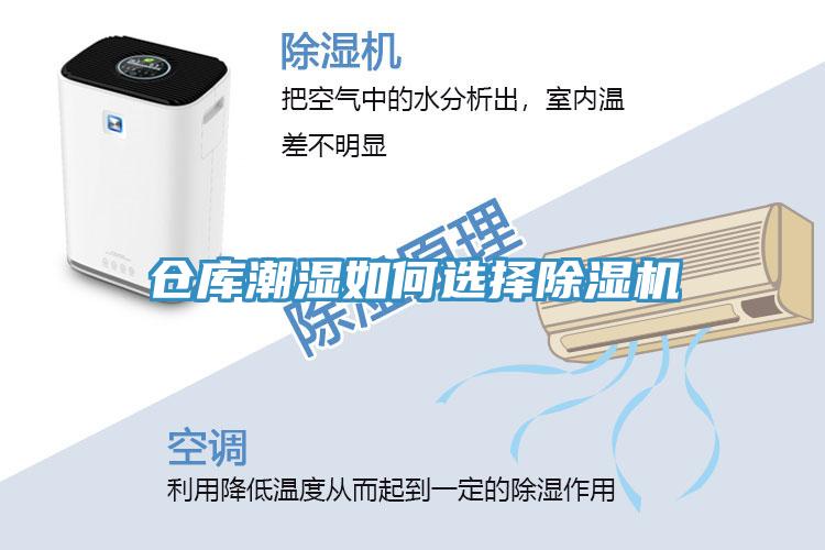 倉庫潮濕如何選擇草莓污视频在线看