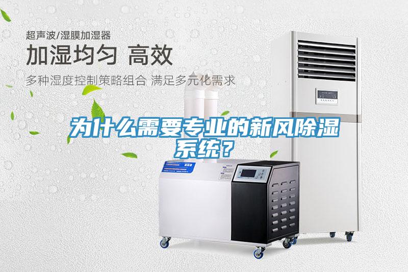 為什麽需要專業的新風除濕係統？
