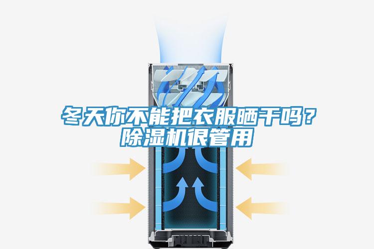 冬天你不能把衣服曬幹嗎？草莓污视频在线看很管用