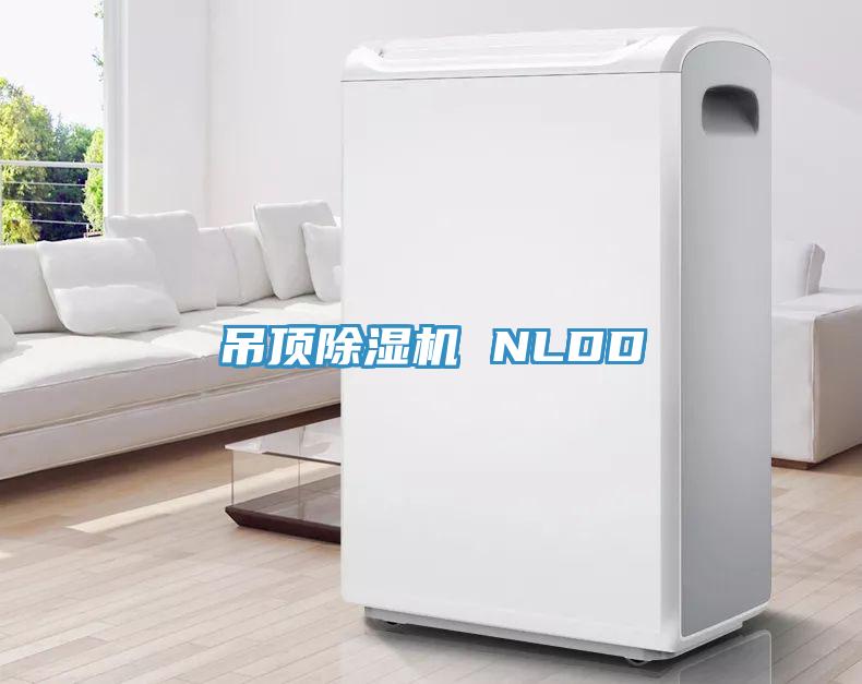 吊頂草莓污视频在线看 NLDD