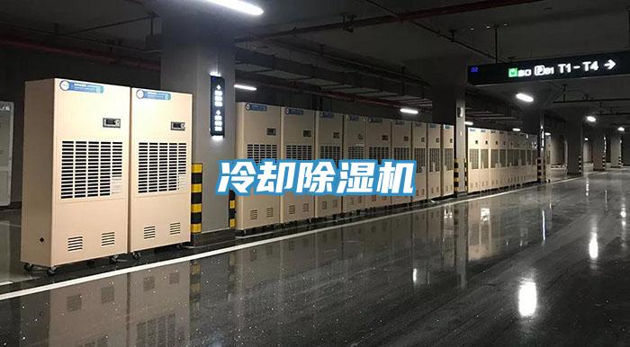 冷卻草莓污视频在线看