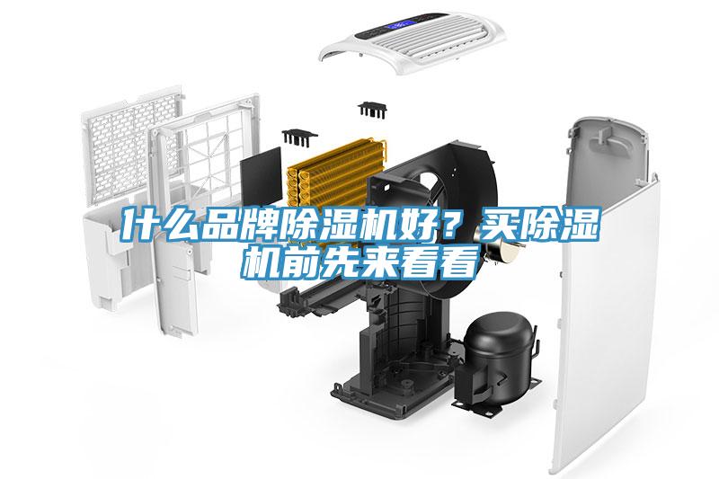 什麽品牌草莓污视频在线看好？買草莓污视频在线看前先來看看