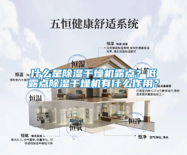 什麽是除濕幹燥機露點？低露點除濕幹燥機有什麽作用？