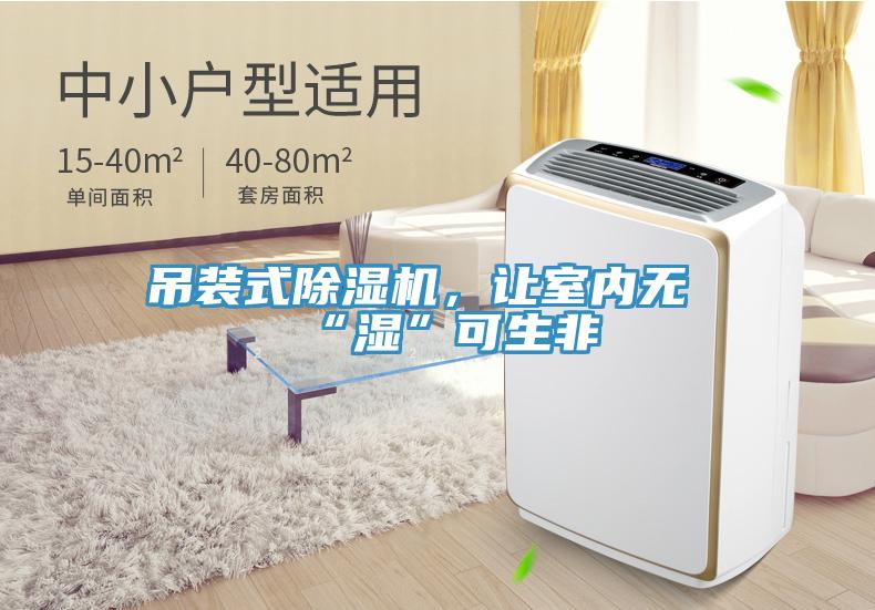 吊裝式草莓污视频在线看，讓室內無“濕”可生非