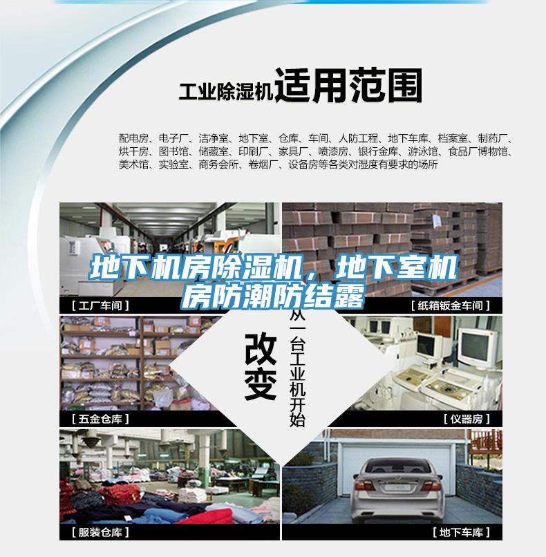 地下機房草莓污视频在线看，地下室機房防潮防結露