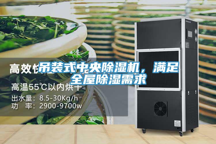 吊裝式中央草莓污视频在线看，滿足全屋除濕需求